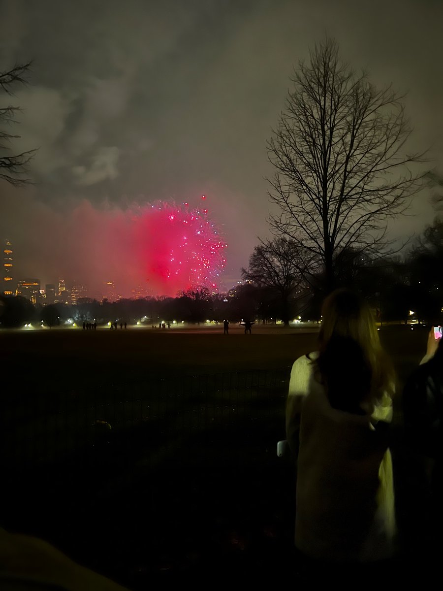 Happy New Year … last night in Central Park, New York City!