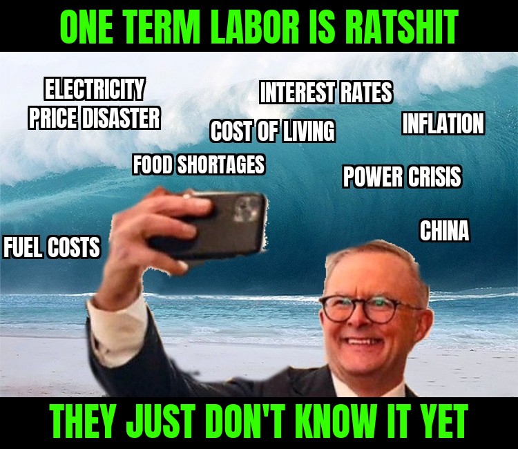 sylvia_lee1's tweet image. Albo on holidays on luxury resort on Barrier Reef...  guess ablo's flying there, helicopter tours, yachts and yet he bags scomo for not 'holding a hose'. Clearly Albo doesn't either!