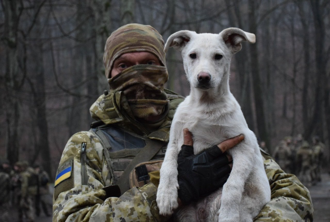 UkraineWorld on Twitter "Ukrainian defenders with their new friends