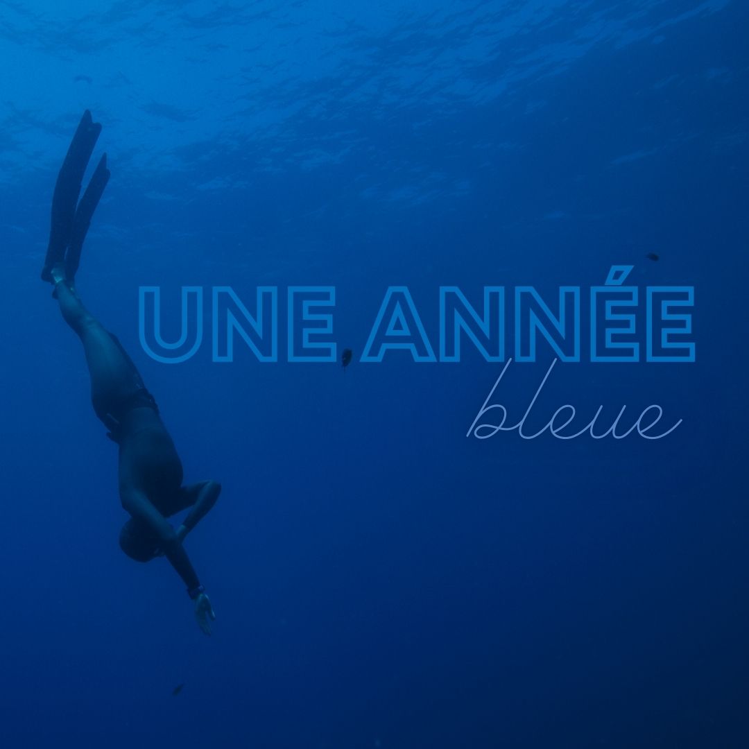 ✨ Nous vous souhaitons une année 2023 riche en couleur !
💙 Nous on souhaite qu’elle soit bleue ! 
#marseillecapitaledelamer