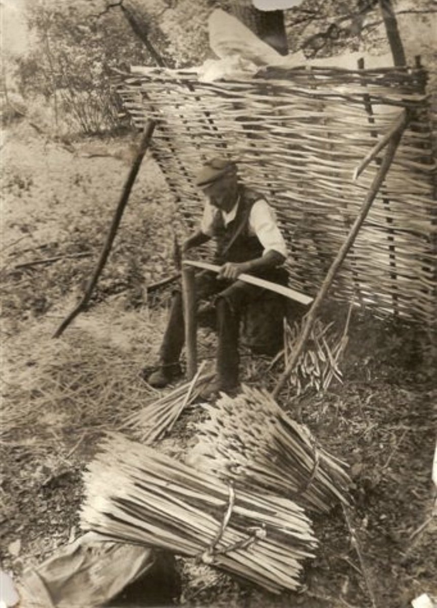 copseworker's tweet image. 1. A thread on heritage crafts and the problems of outsourcing. This lovely chap is making spars. Short lengths of coppiced hazel are split and pointed at both ends. Every time a roof is thatched it requires many hundreds of spars.