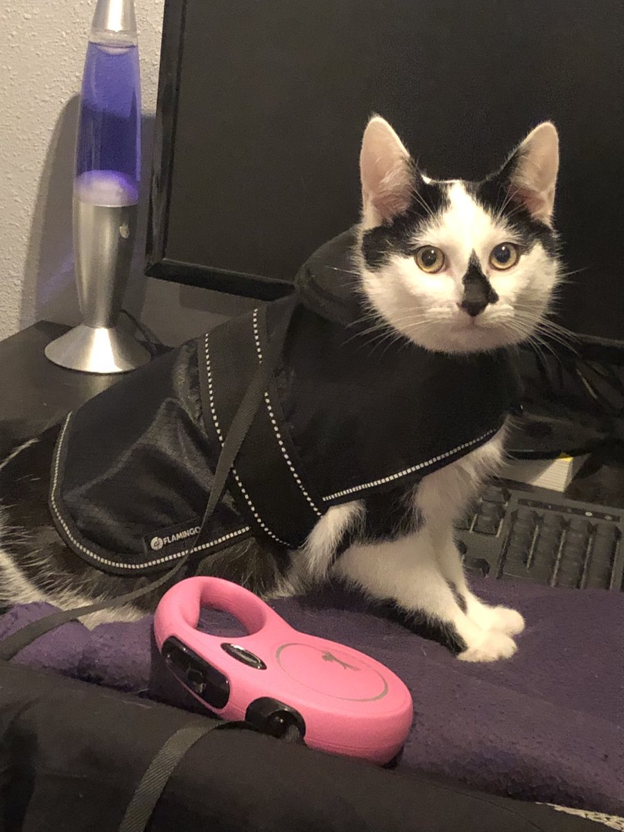 ready to go
