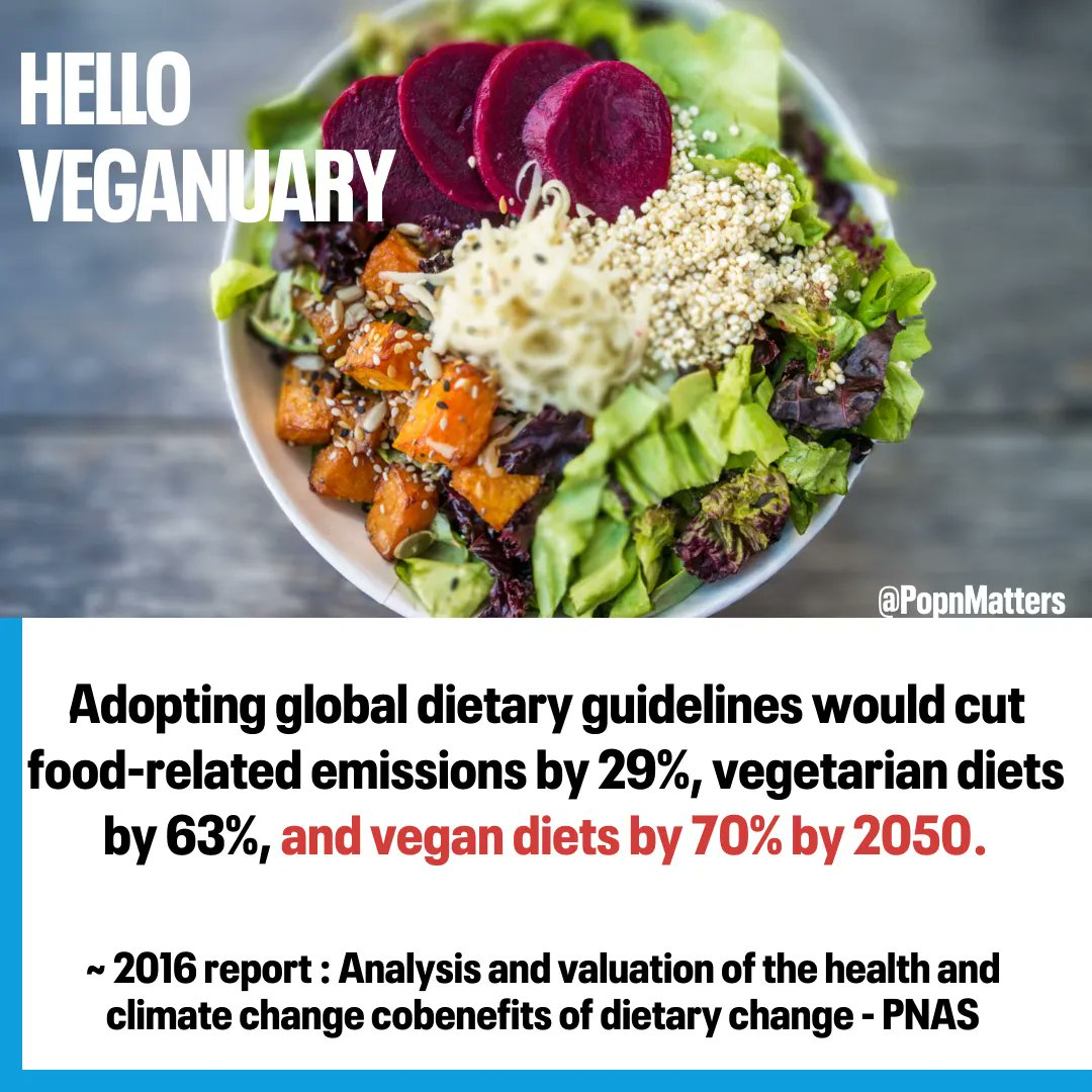 PopnMatters's tweet photo. It's #Veganuary2023. Would you like to give it a try?
#Everychoicecounts
"...so choosing a #vegan diet is one simple way to reduce your environmental footprint." 
https://t.co/98Np0AASMd https://t.co/mRFlLHVBUv