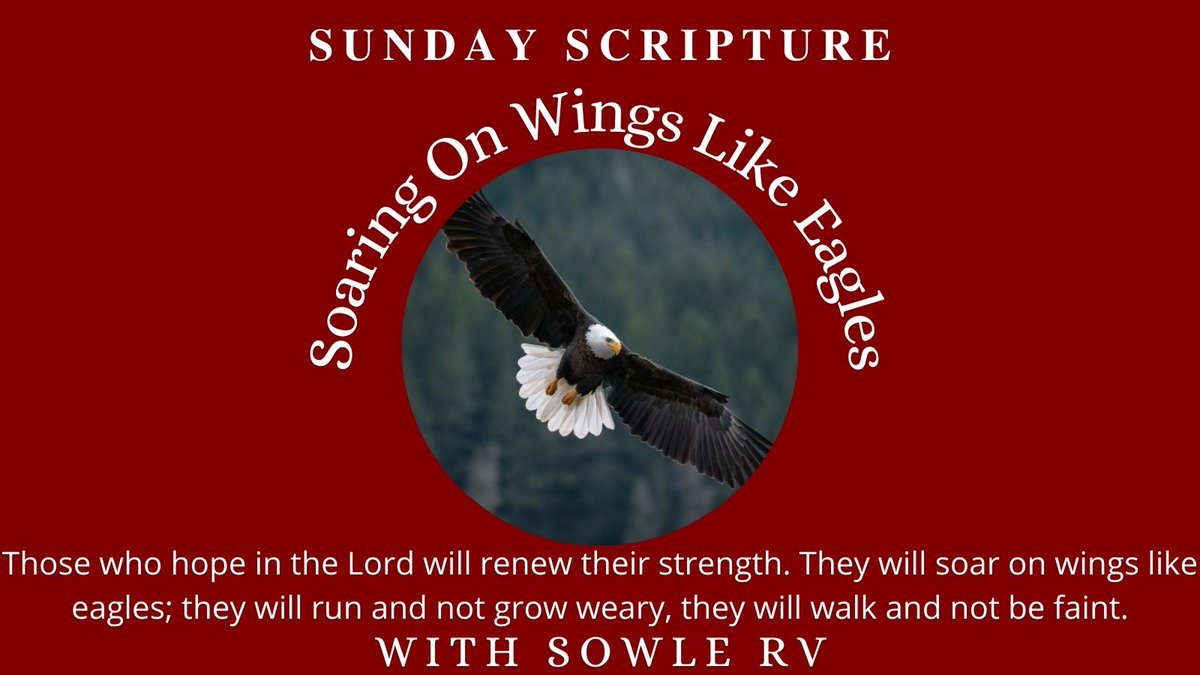 SOWLE_RV's tweet image. Isaiah 41:30 But those who hope in the Lord will renew their strength. They will soar on wings like eagles; they will run and not grow weary, they will walk and not be faint.

buff.ly/3chq4p0

#Isaiah41v30 #SundayScripture #SundayScripturewithSOWLERV #SOWLERV