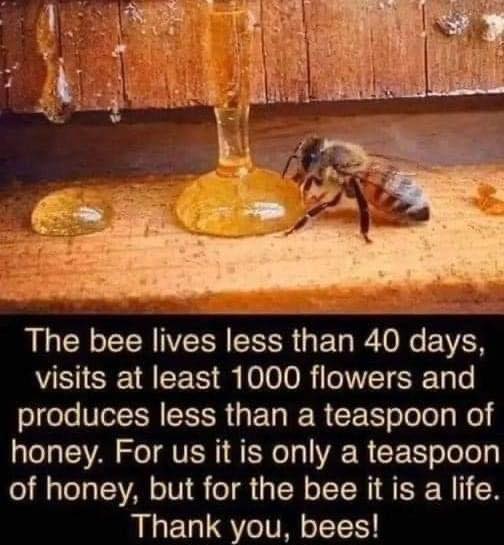 FlZvcASXgAMPLxw?format=jpg&name=small