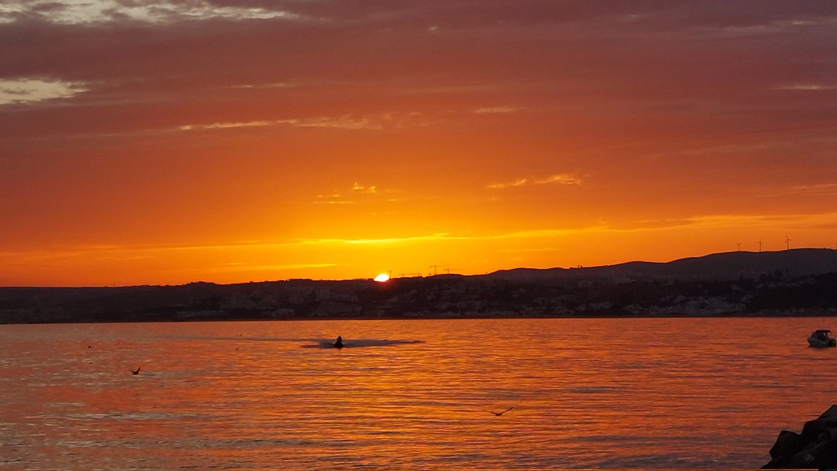 Meteo Estepona tweet media