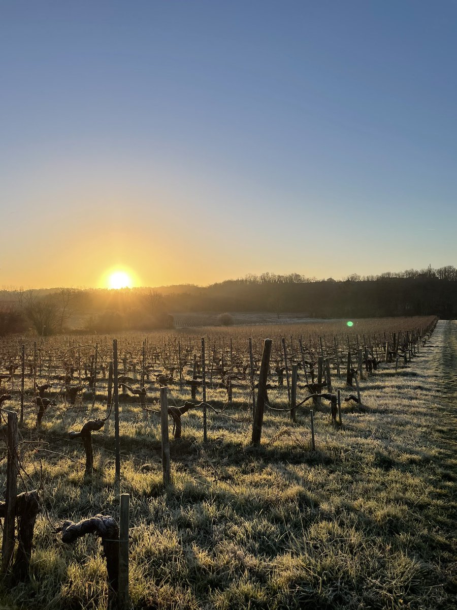 Bonne et heureuse année ,best wishes #chateaulatuiliere #voeux2023 #HappyNewYear #winelovers <a href="/cotesdebourg/">cotesdebourg</a> <a href="/vinsdebordeaux/">Les Vins de Bordeaux 🍇</a>