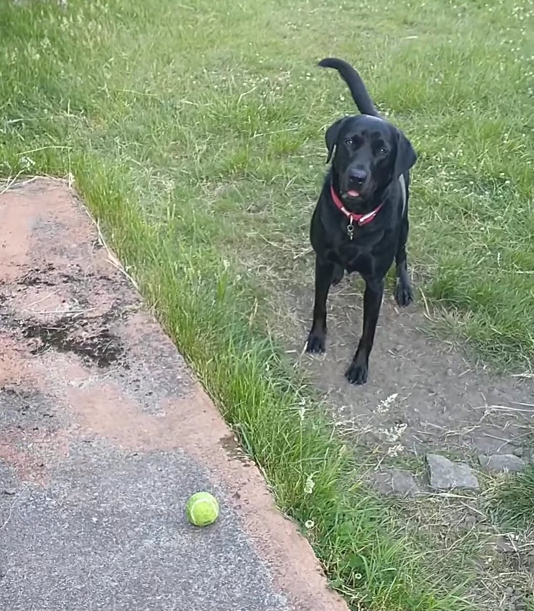 Games of the Year 2022