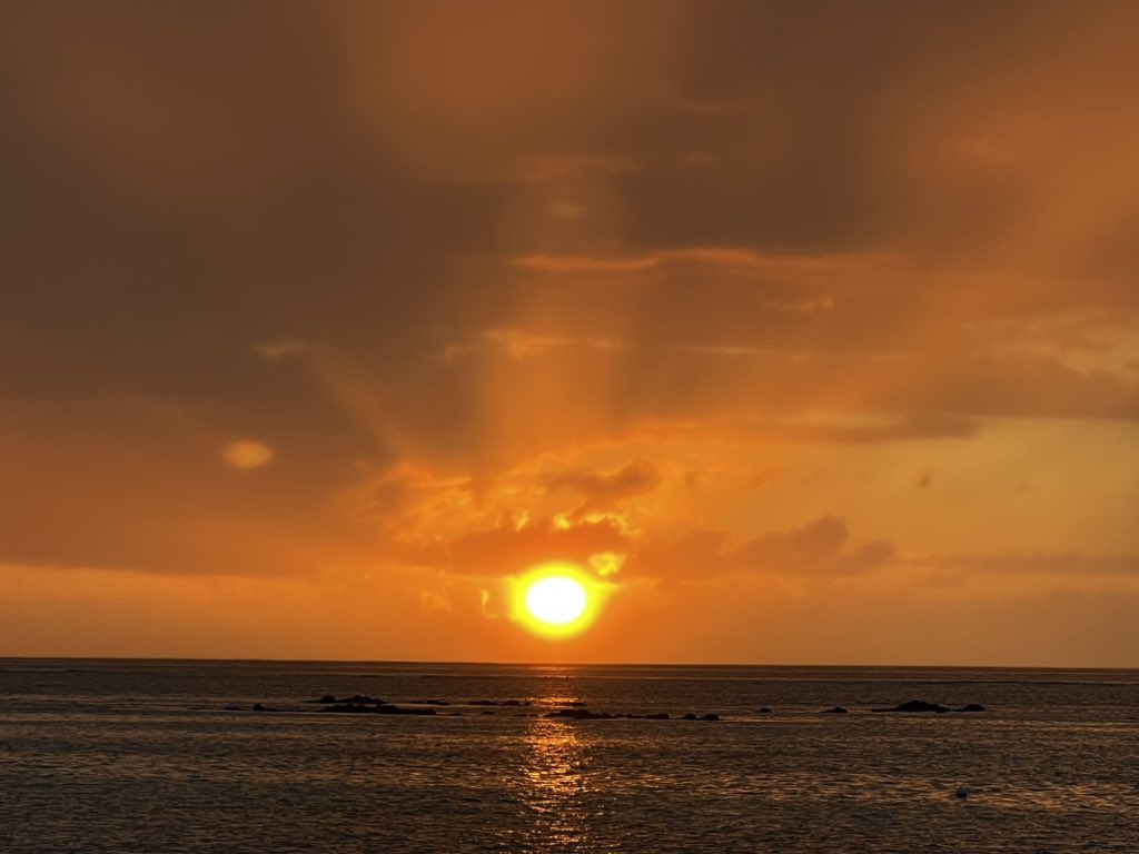 shaunlevitan's tweet photo. @jk_rowling #Happy2023 from Mauritius 🇲🇺 https://t.co/JBQHdRygQU