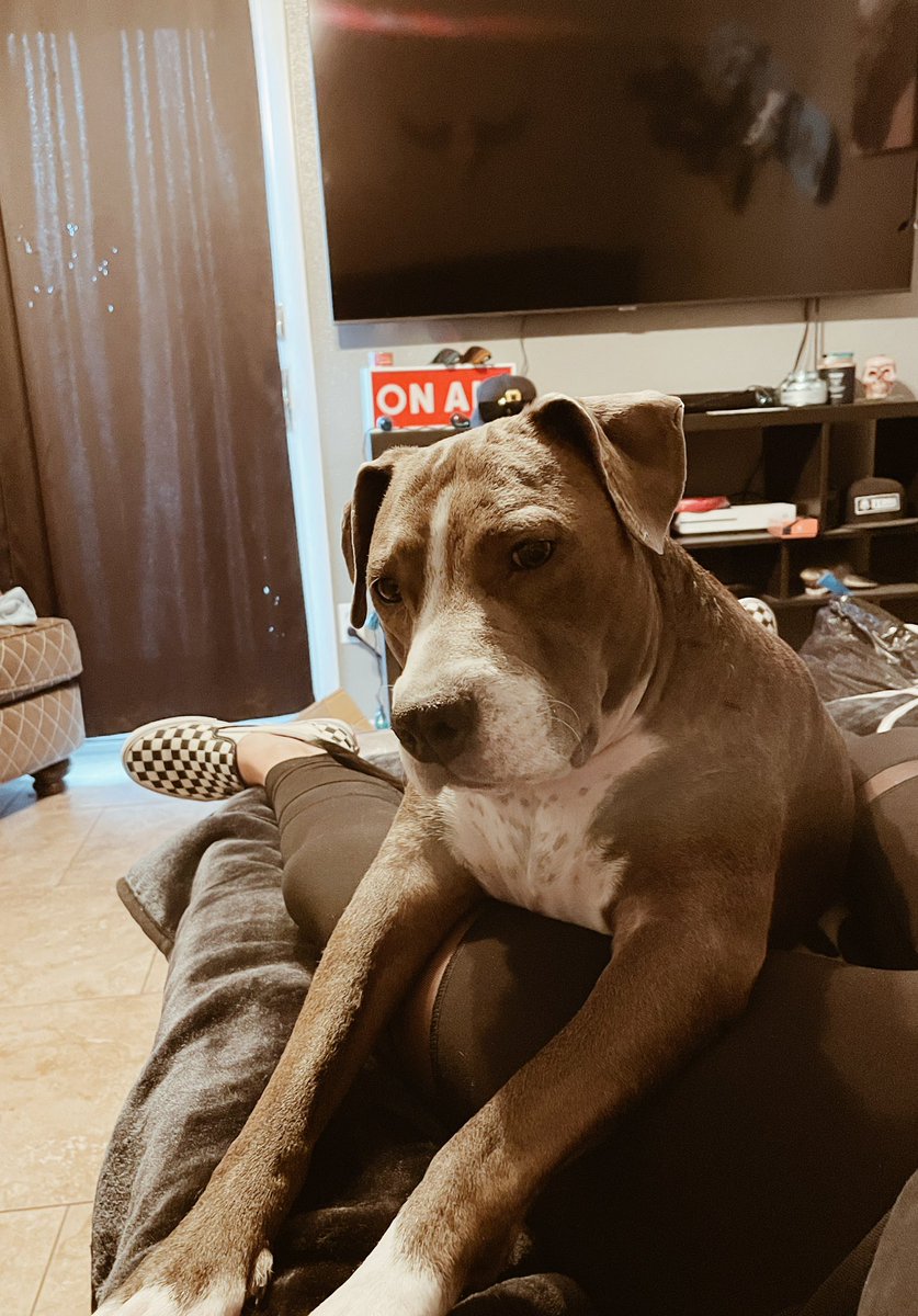 my new year’s eve in a few pictures ❤️‍🔥