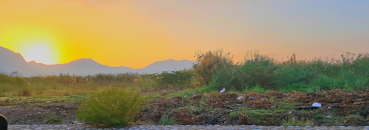 صباح الخير من الاحسان بالعامرات
سرور بسمائل <a href="/morningyouth/">برنامج صباح الشباب</a>