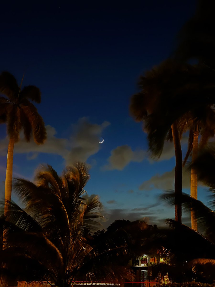 28Gonwil's tweet photo. @AndrewBuzon Luna https://t.co/hD2AfjgO5n
