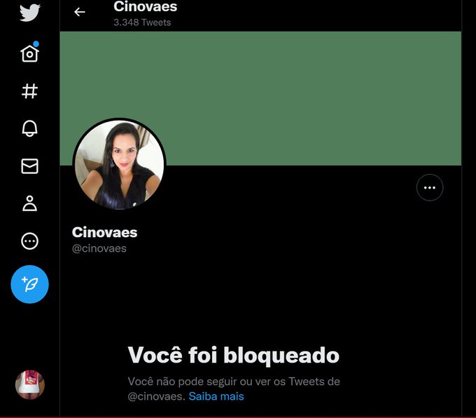 Essa senhora estava me respondendo em defesa dos terrorista e disse que tinha v&iacute;deos dos "infiltrados"
