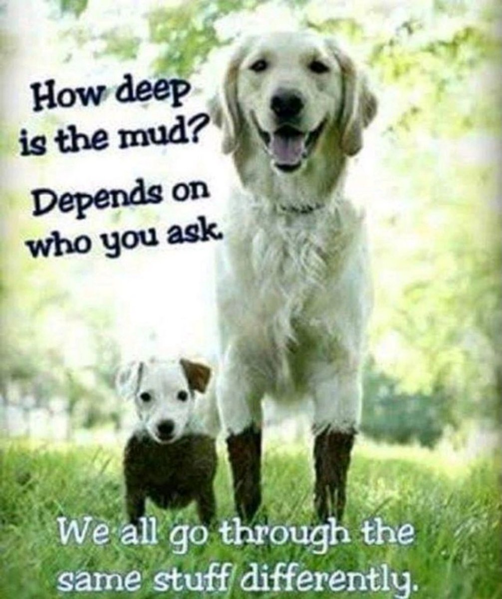 How deep is the mud?