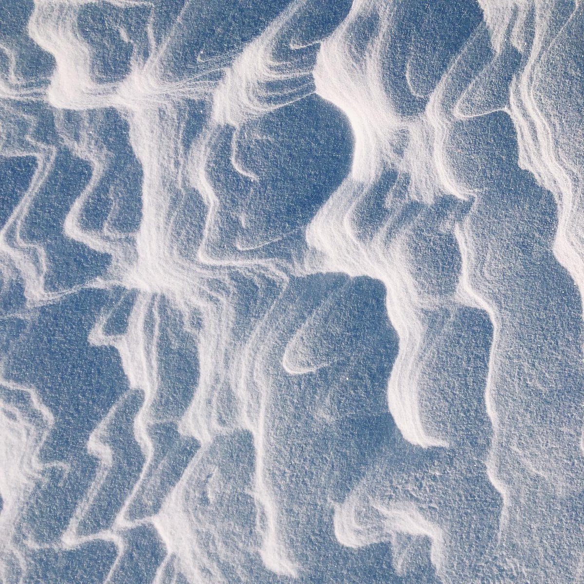 auroramicha's tweet photo. Gorgeous day on Lake Winnipeg! https://t.co/lKOna6qOFy
