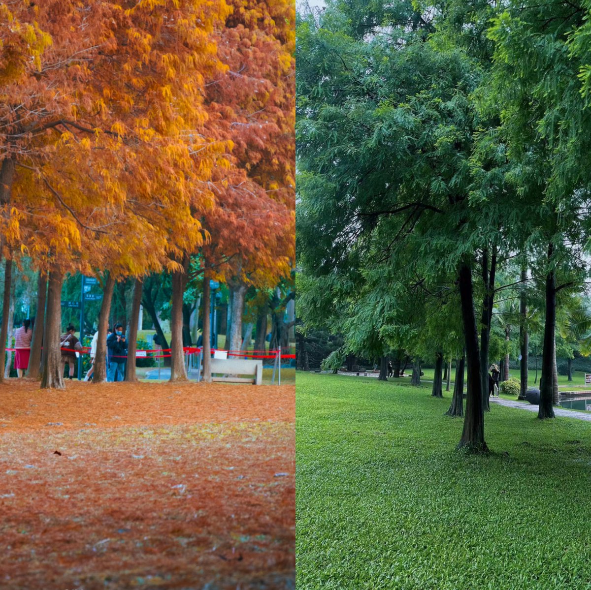 Visit Xiamen tweet media