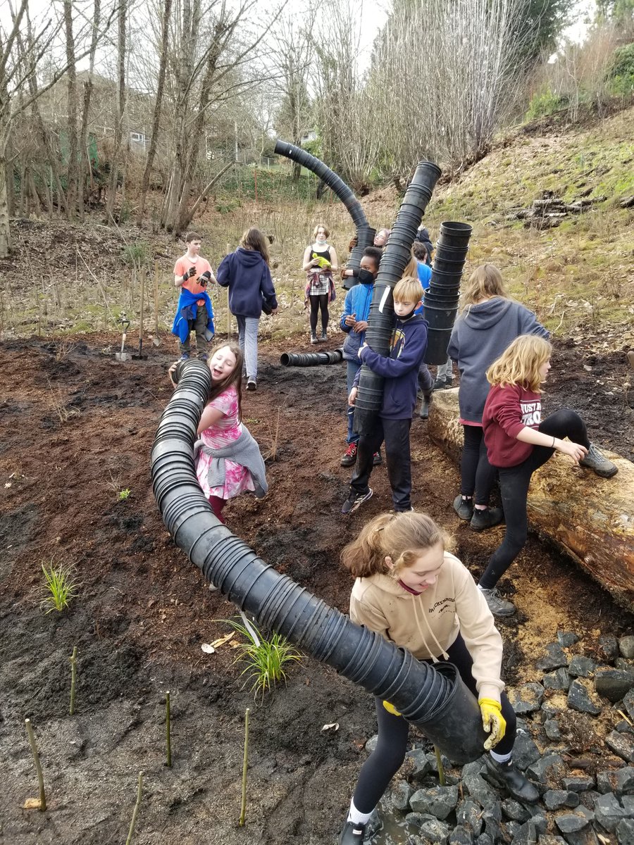 olyecosystems's tweet photo. Pre-MLK Day Work Party at Cooper Crest - https://t.co/KMEWsvsXsa https://t.co/0guGjTzG1S