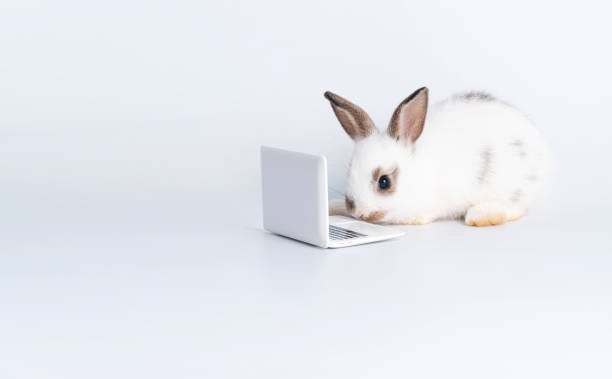 itscelyunique's tweet image. 