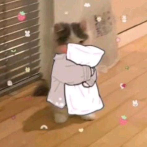 Eu chegando no Dewei toda vez que chove