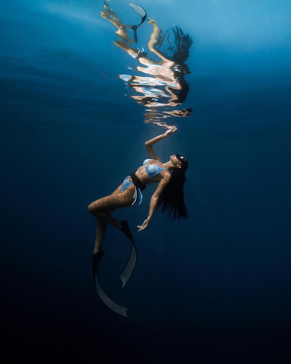 seaskinwetsuits's tweet photo. Water connects all things, life to death, darkness to light
#underwater #freedivingwomen #freediving #deepseadiving #deepsea #sealife #sealovers #freedivephotography #sealovers #underwater #diveeasy #diving #maldives https://t.co/VGZZu5tdwW