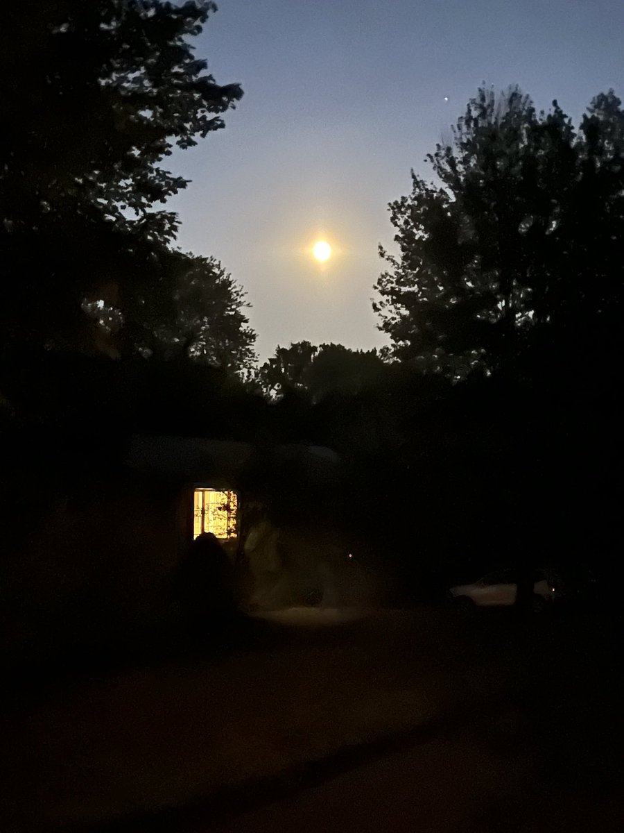 Have a good night all my friends ✨💫🌙I’m going off now, I’ll see you tomorrow. Have a peaceful evening and sleep well 😴 Sweet dreams 🥰