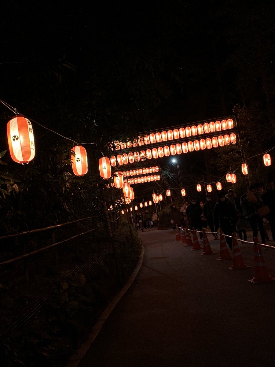 ✨ Nika in Japan ✨ tweet media