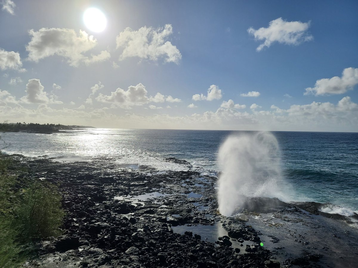 juliaiee2022's tweet image. Do you know?