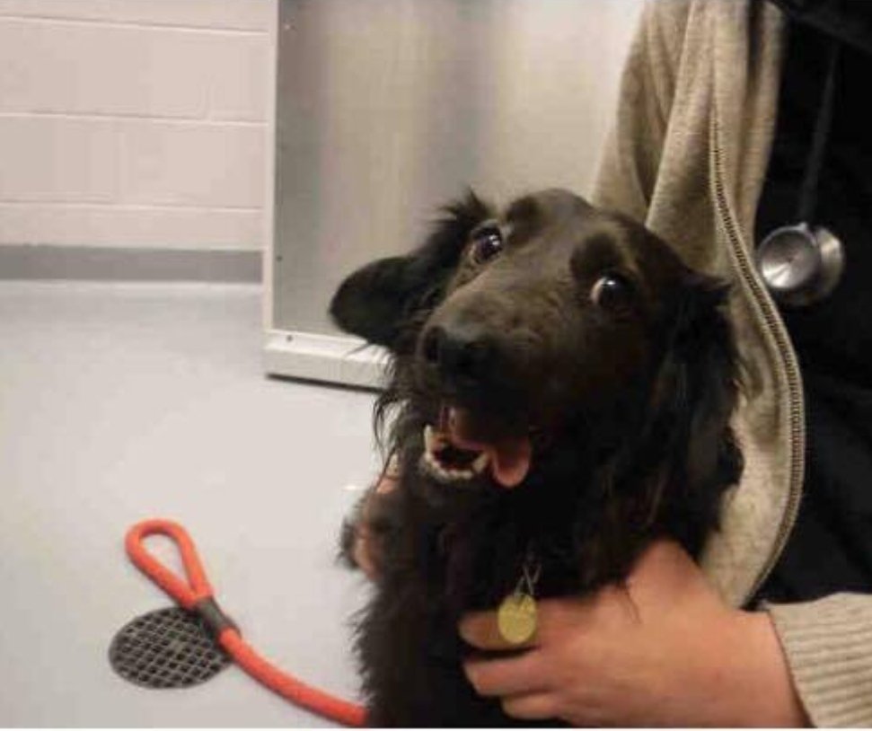 Austin Yost tweet media