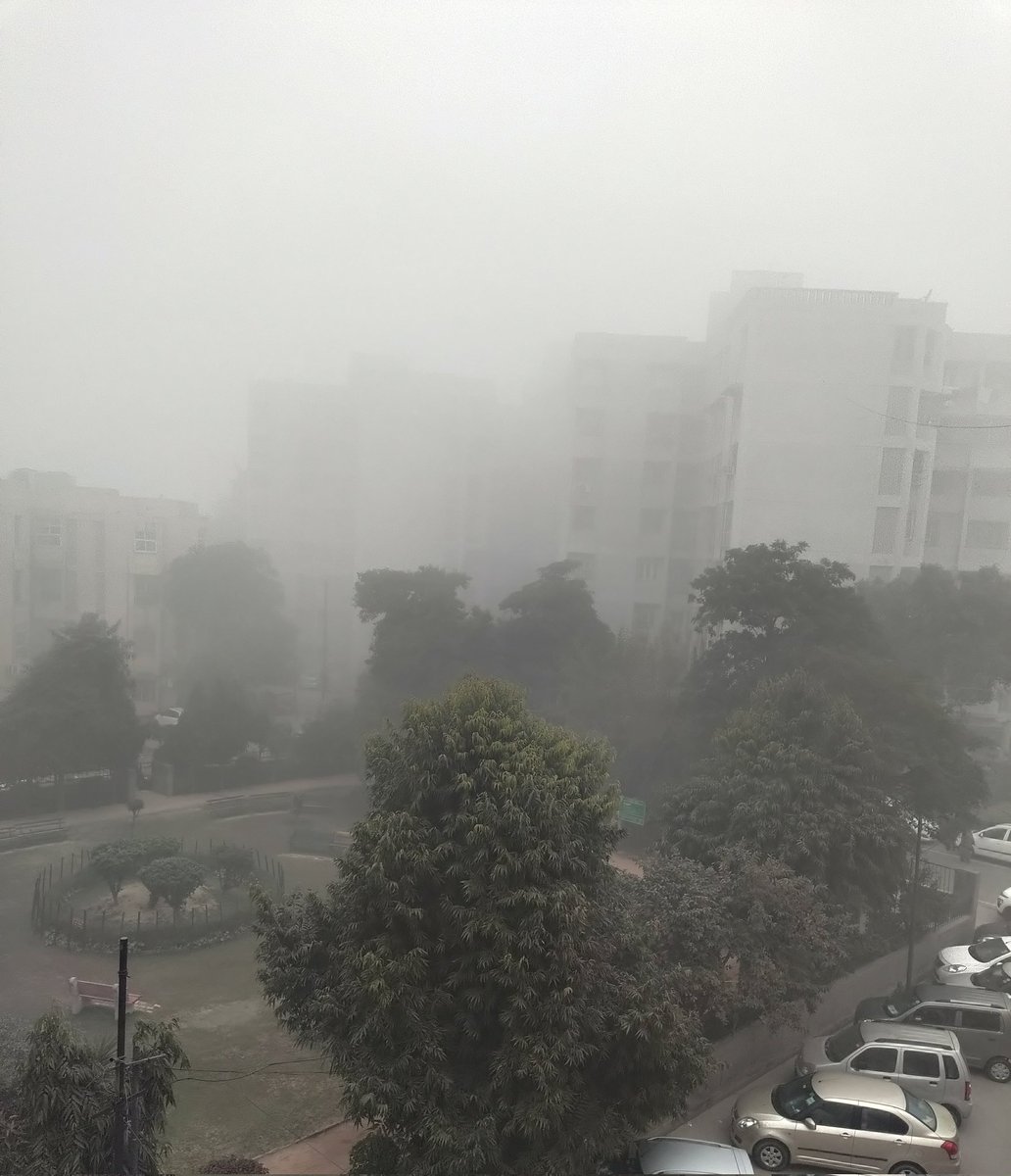 #foggymorning #delhiwinters