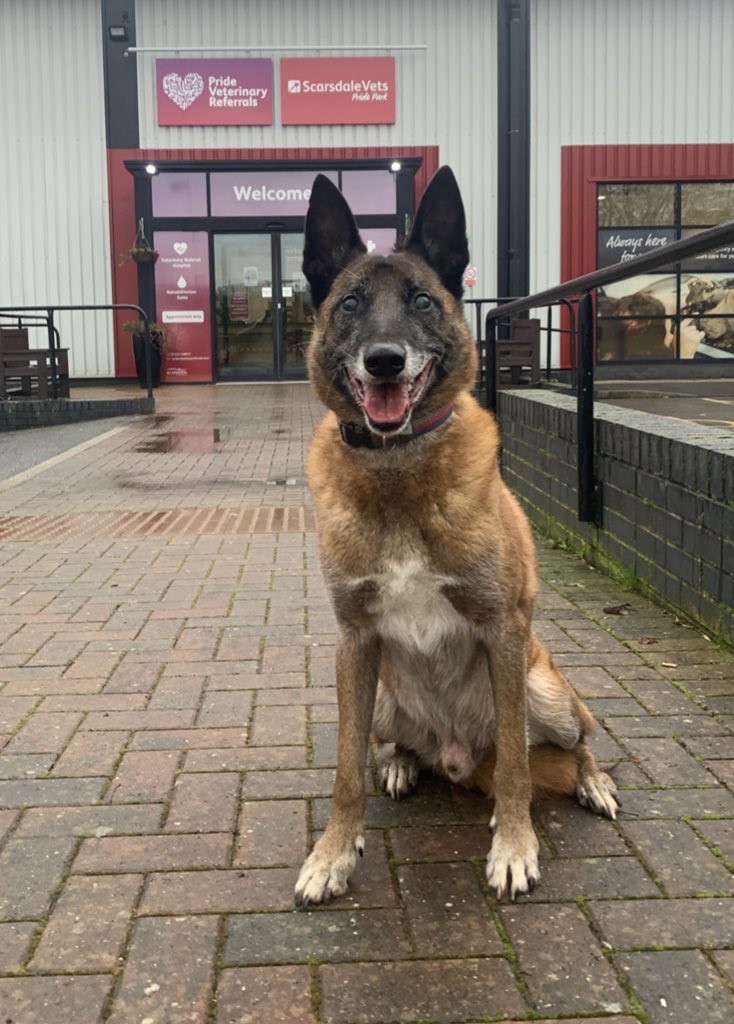 Mat Dixon tweet media