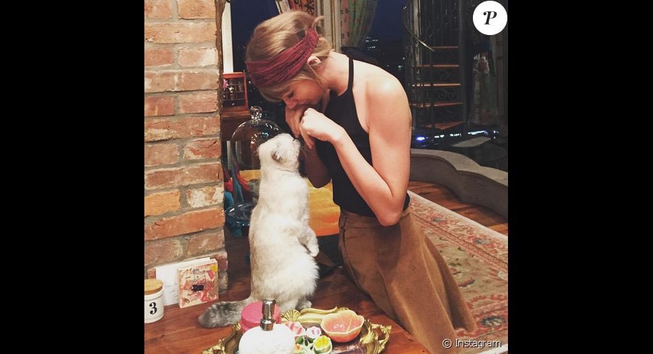 telemixhaiti's tweet photo. Avec 97 millions de dollars, la chatte l'artiste américaine @taylorswift13 , une Scottish fold nommée #Olivia #Benson , se classe troisième sur la liste #AllAboutCats des « animaux de compagnie les plus riches et les plus influents du monde ». https://t.co/54OmN5tsrB
