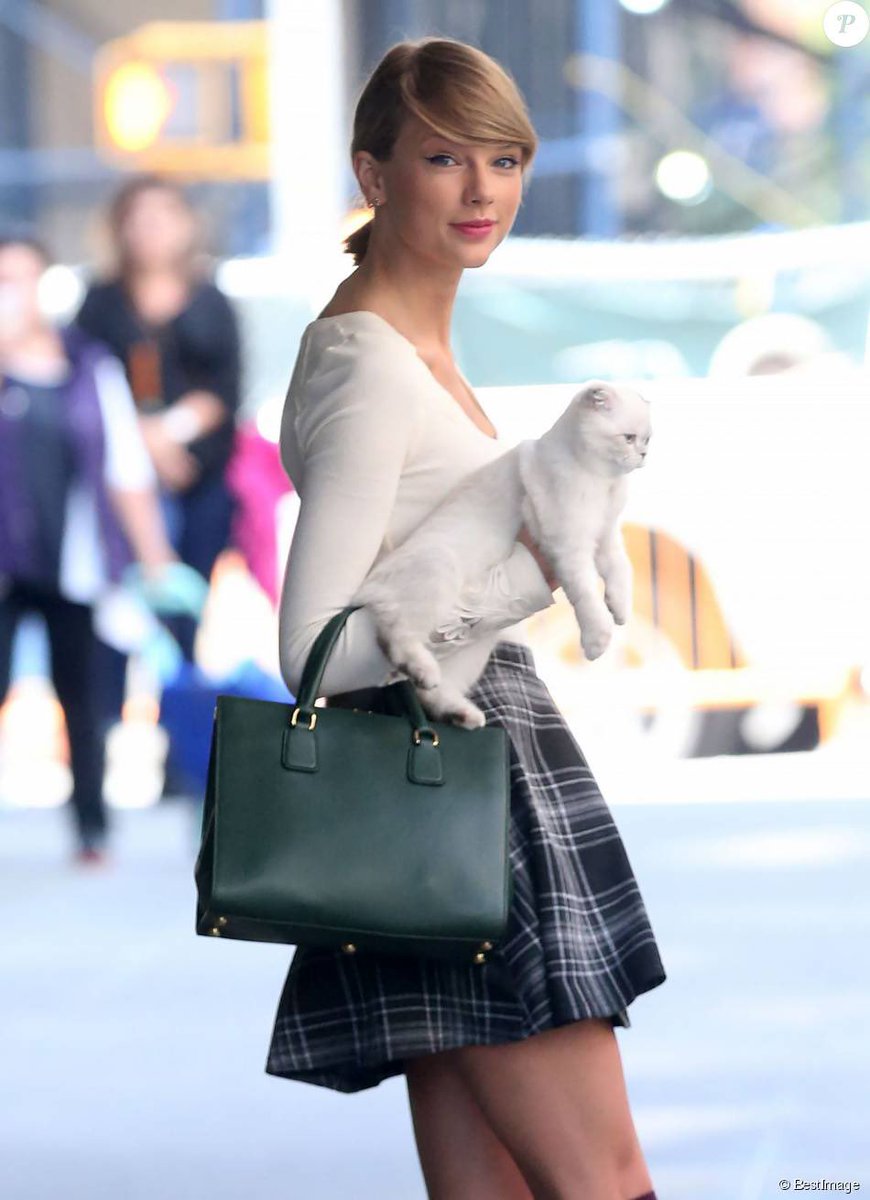 telemixhaiti's tweet photo. Avec 97 millions de dollars, la chatte l'artiste américaine @taylorswift13 , une Scottish fold nommée #Olivia #Benson , se classe troisième sur la liste #AllAboutCats des « animaux de compagnie les plus riches et les plus influents du monde ». https://t.co/54OmN5tsrB