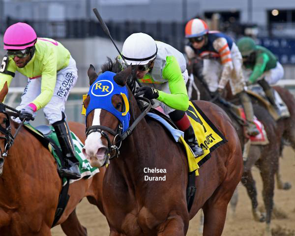 Daily Racing Form (@dailyracingform) on Twitter photo Wudda U Think Now notched his second consecutive victory at Aqueduct with Sunday's win in the Say Florida Sandy.
Read: bit.ly/3k2LWIU via <a href="/DRFGrening/">David Grening</a> #DRF Wudda U Think Now notched his second consecutive victory at Aqueduct with Sunday's win in the Say Florida Sandy.
Read: bit.ly/3k2LWIU via <a href="/DRFGrening/">David Grening</a> #DRF