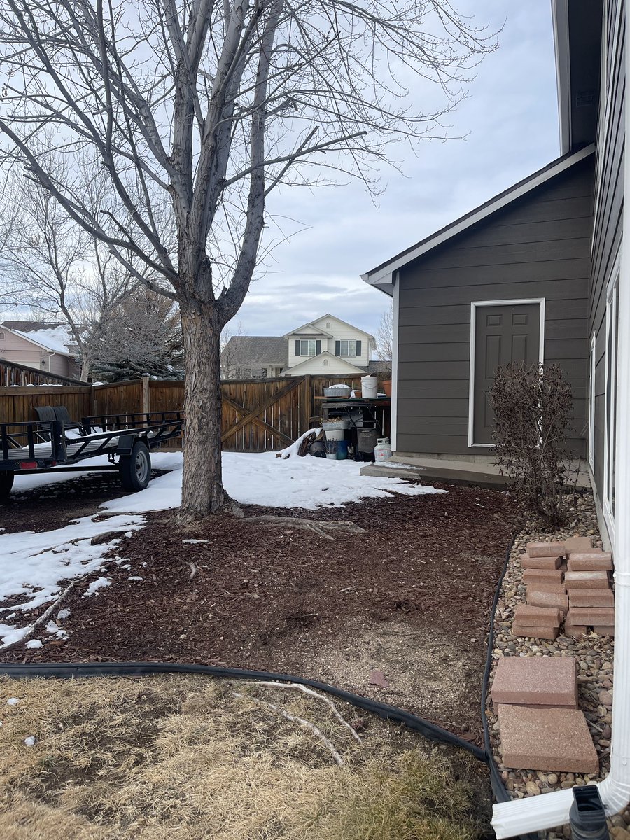 Can you spot Harper?! 👀🐈

#CatsOnTwitter #CatsOfTwitter #Cat