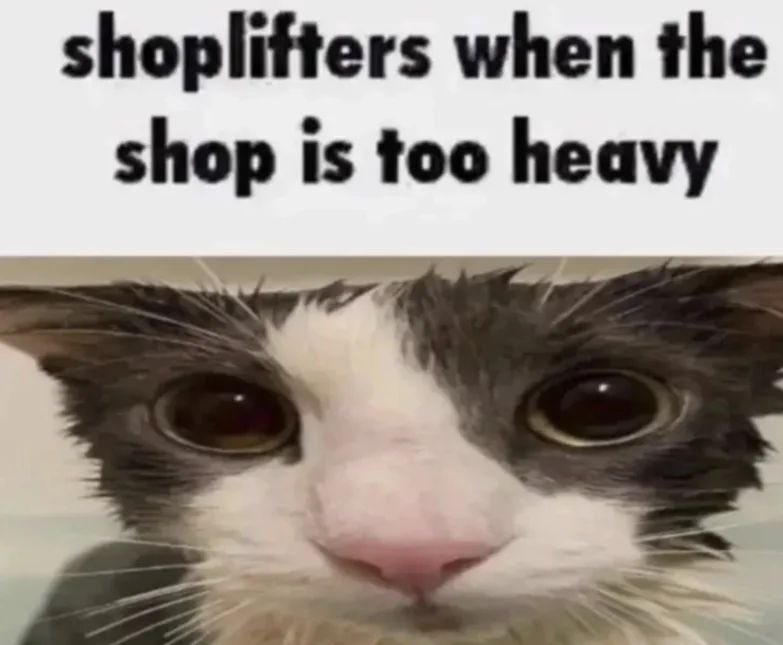 Cat Dealer on Twitter