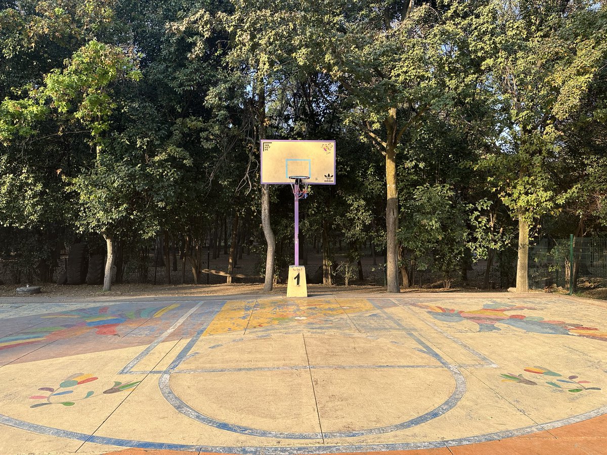 Golden hour on the Coyoacán courts in Mexico City