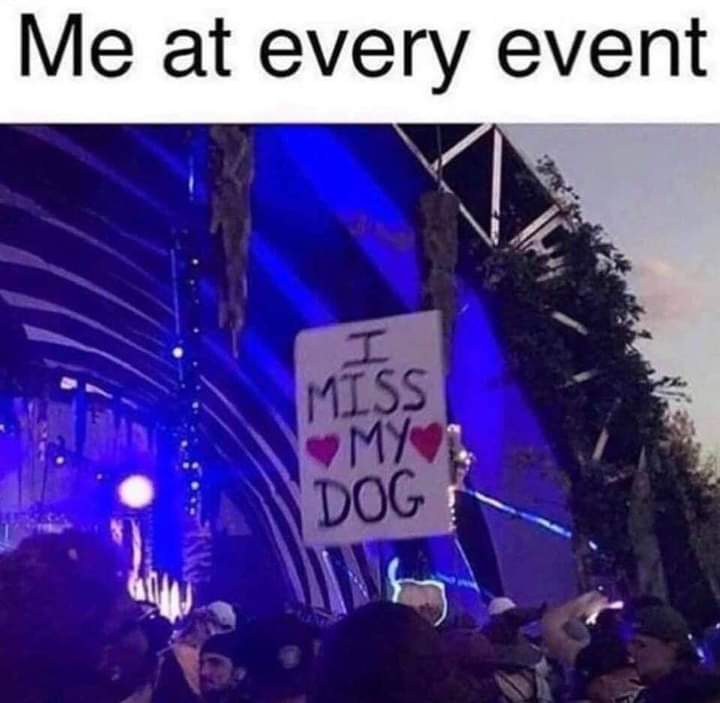 reeannekeena's tweet photo. @LiebeRosemarie LoL. 🥰 https://t.co/CFDHny4H8o