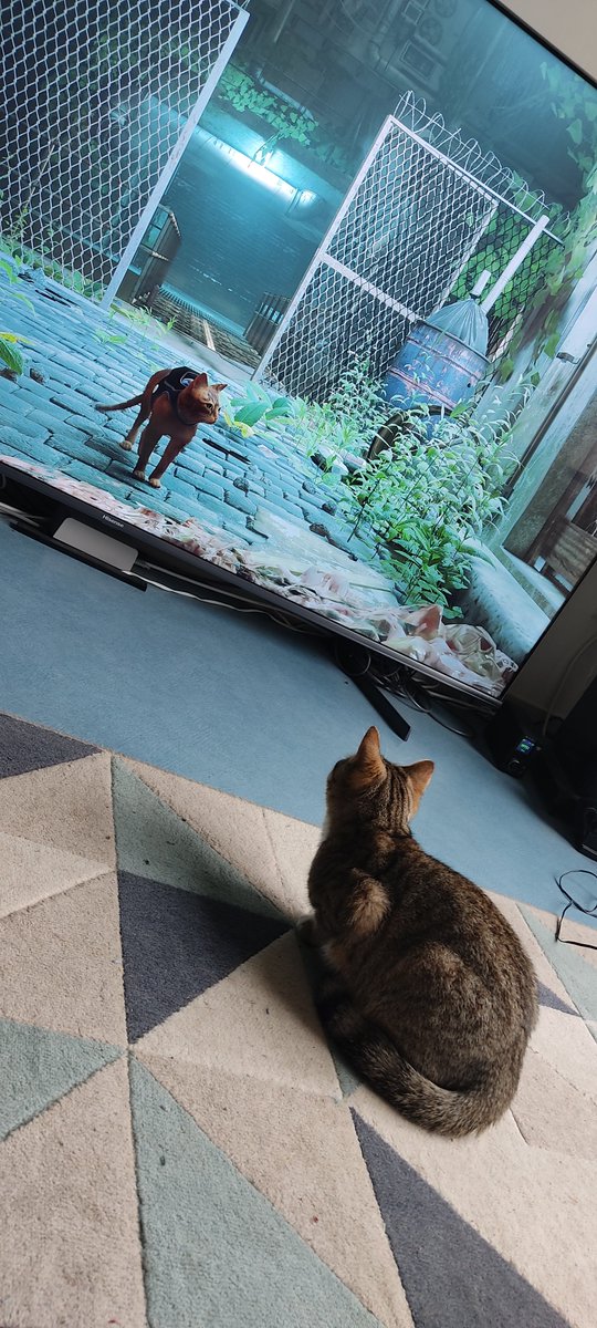 Guillaume Munoz tweet media