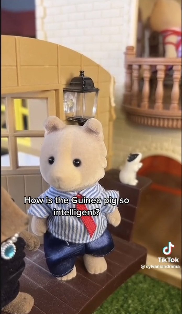 han_fol's tweet photo. sylvaniandrama coming for all of south dublin https://t.co/2WB4igu9C1