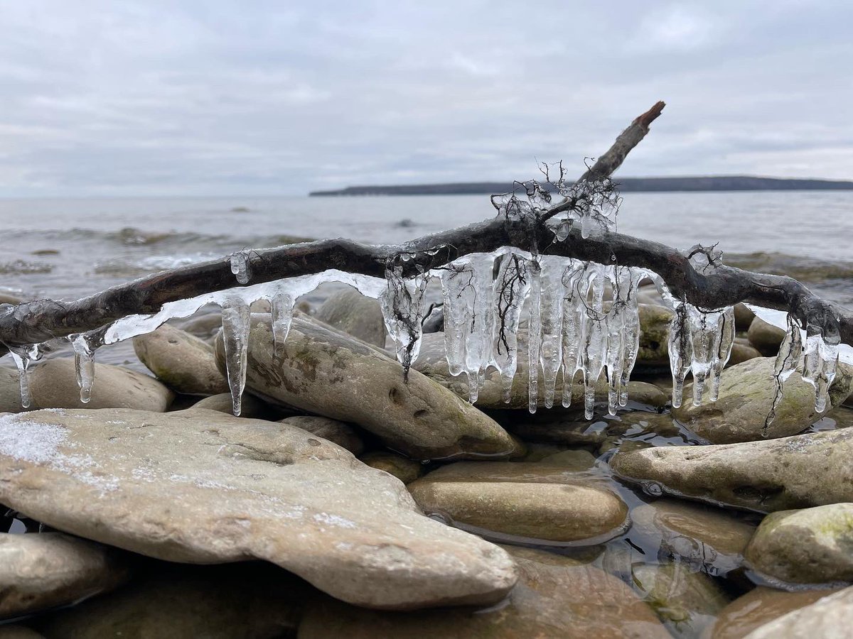 bagida_waad's tweet photo. “The bay looks so calm. I often wonder how the lake whitefish are doing. I wish I visited them a bit more. I know they must be worried about the lack of ice coverage.” #aquaman said looking over the water. #GeorgianBay #whitefish #icecoverage #worry #visit https://t.co/pEOteLzxFd