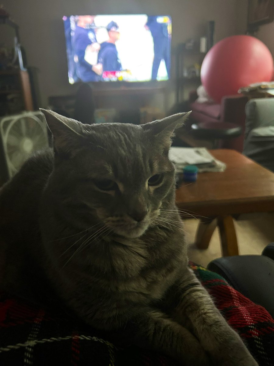 DashRuane's tweet photo. Not interested in this football game https://t.co/g9KB2JVYvy