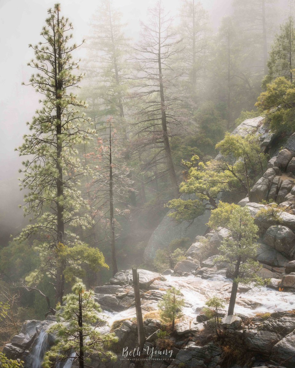 Beth Young tweet media