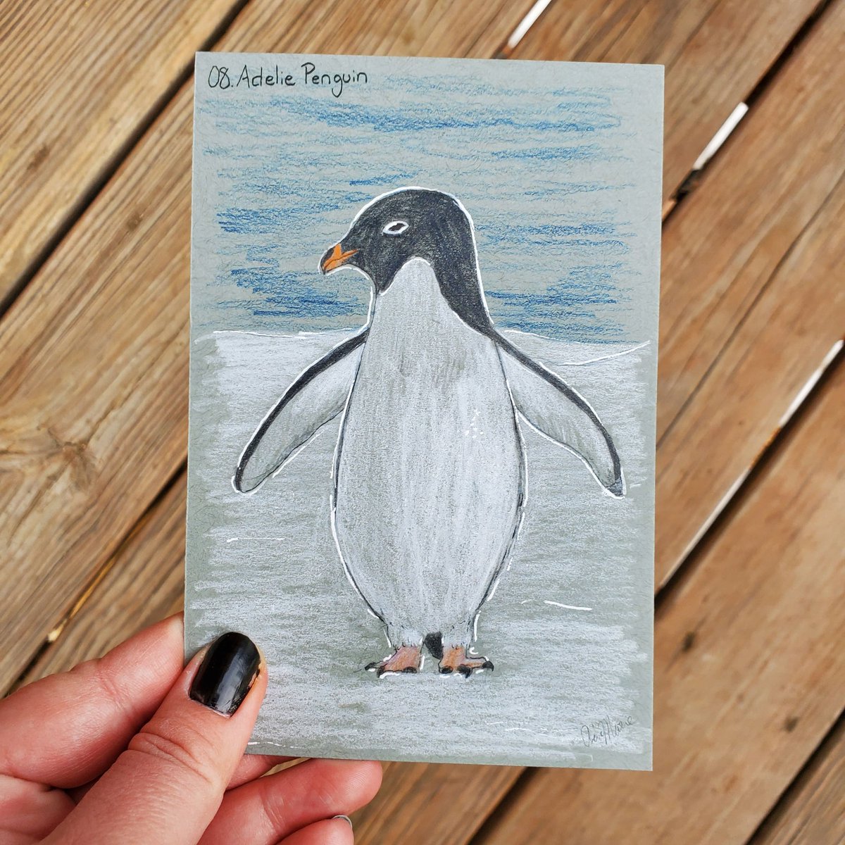 #birbfest2023 Day 8: Adelie Penguin. #birbfest #penguinart