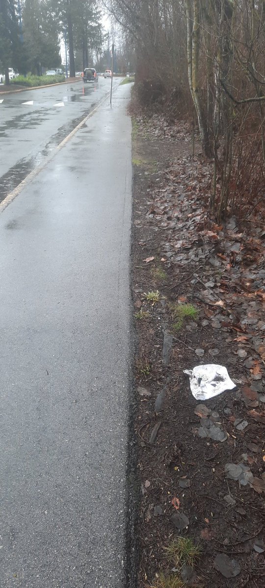 <a href="/CityofDeltaBC/">City of Delta</a> <a href="/deltapolice/">Delta Police Department</a> I walked the entire property of sungod, Seems like somewhere kids go to smoke under the Gazebo, more patrols please, especially after mugging 
#delta I picked up 3 bags of trash in the rain. In an hour. Teach the next generation better, please.