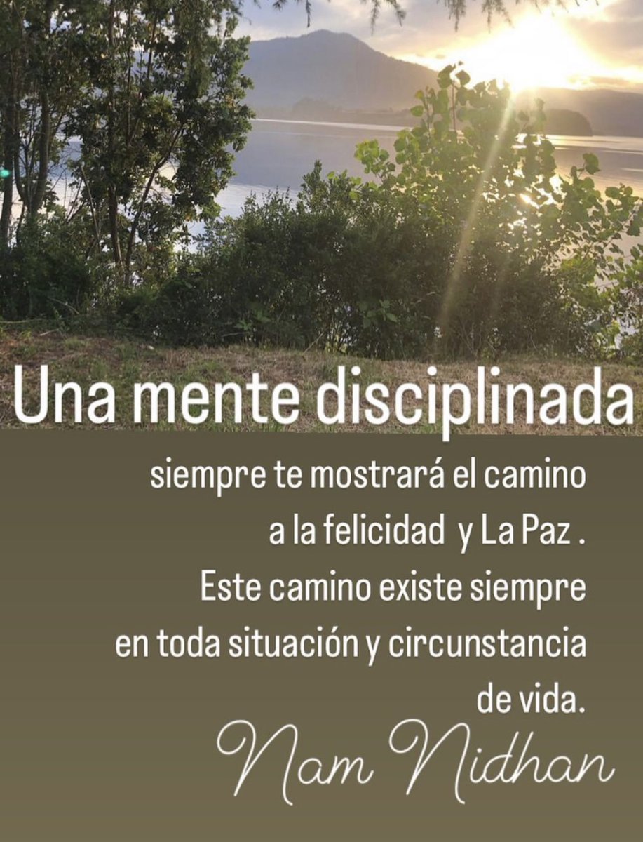 LORENA PLACENCIA TV tweet media