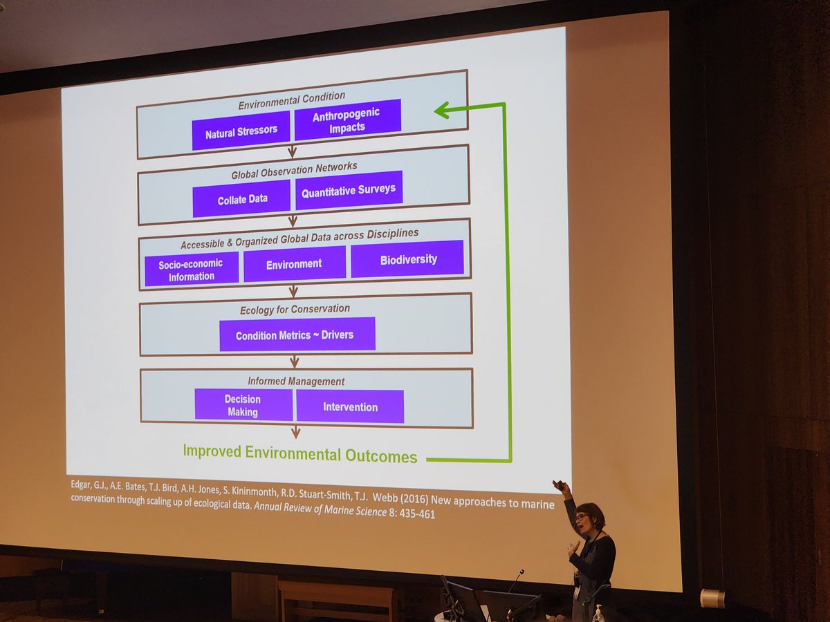 CMS_UTas's tweet photo. #ITRS2023 kicks off with @AmandaEBates giving the first plenary on #TemperateReef biodiversity change and the importance of teamwork. Super inspiring talk π https://t.co/XzEdrOKZkv