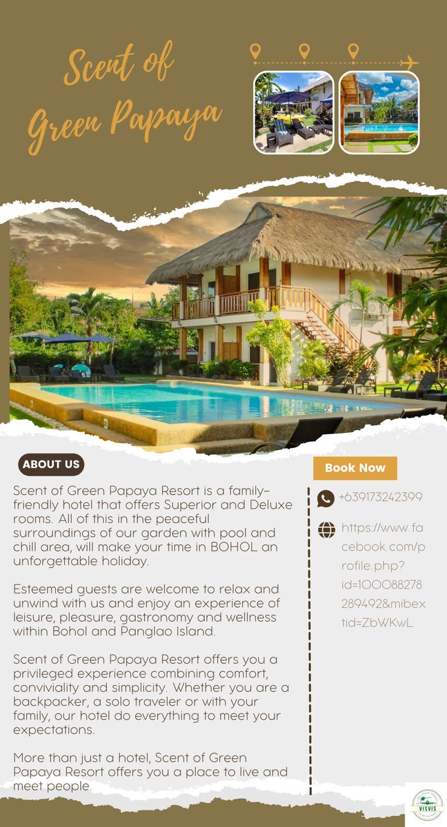 vvtravandtour's tweet photo. Make your perfect staycation at the Scent of Green Papaya Resort!🥰

For inquiries, visit us at: https://t.co/SPNeXcic7v

#BOHOL #ExploreBohol #Visvistravel #ExplorePhilippines #itsmorefuninthephilippines #DiscoverPhilippines #TravelGoals2023 #BookNow #ScentofGreenPapayaResort https://t.co/aug0D7pp0y