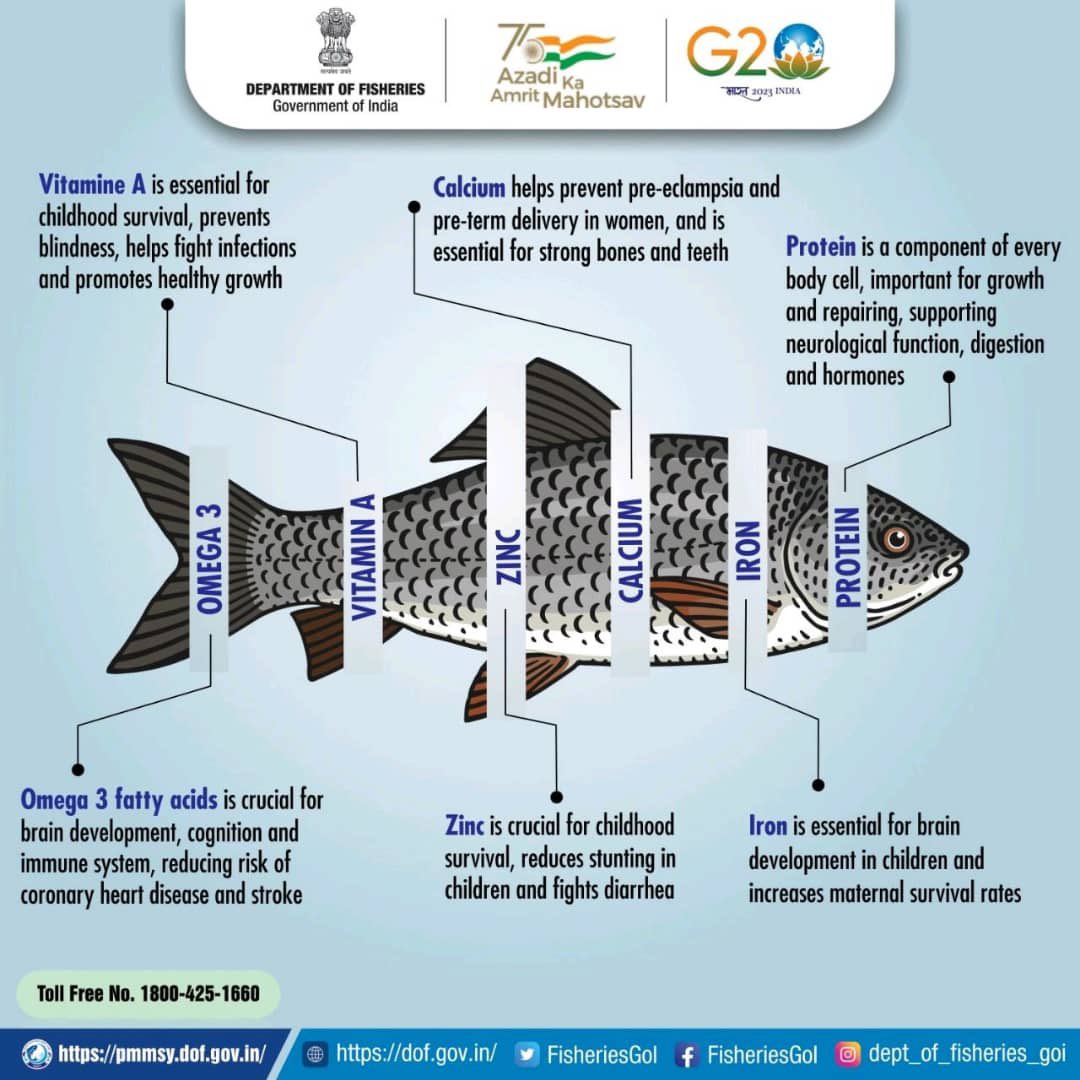 Eat more fish and protect your kids