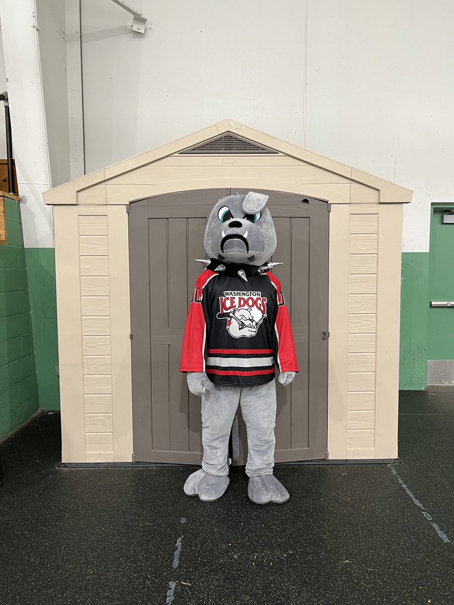 Washington Ice Dogs tweet media