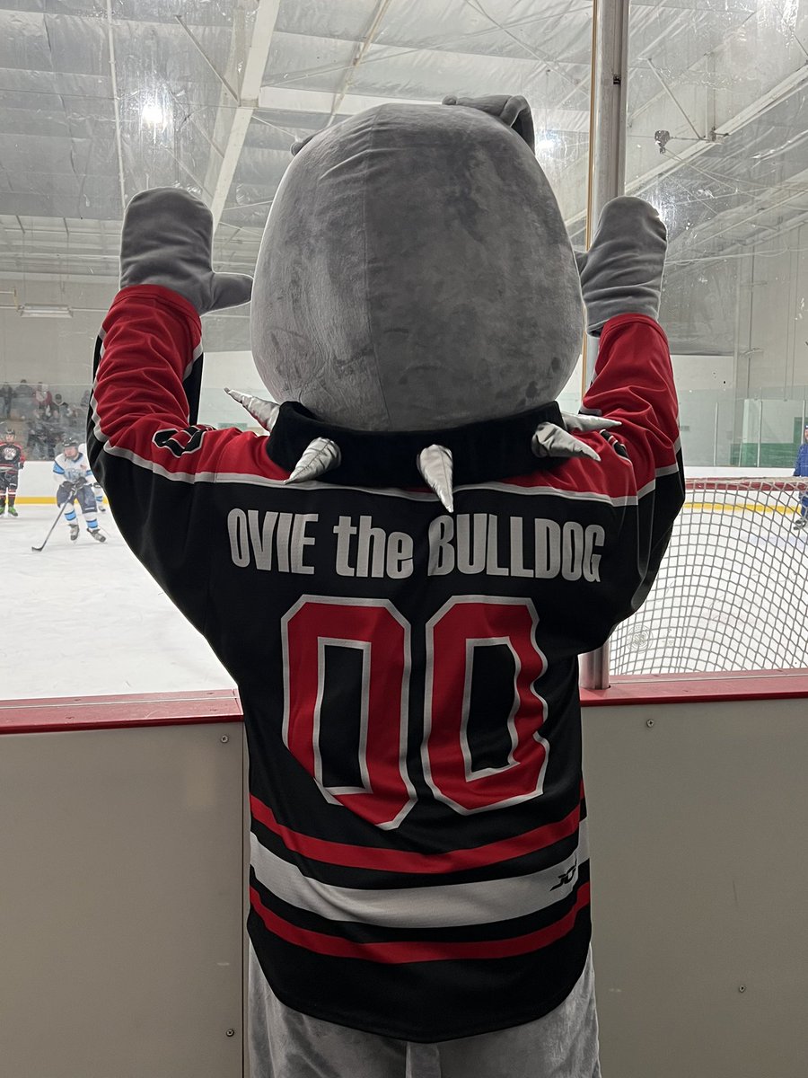 Washington Ice Dogs tweet media